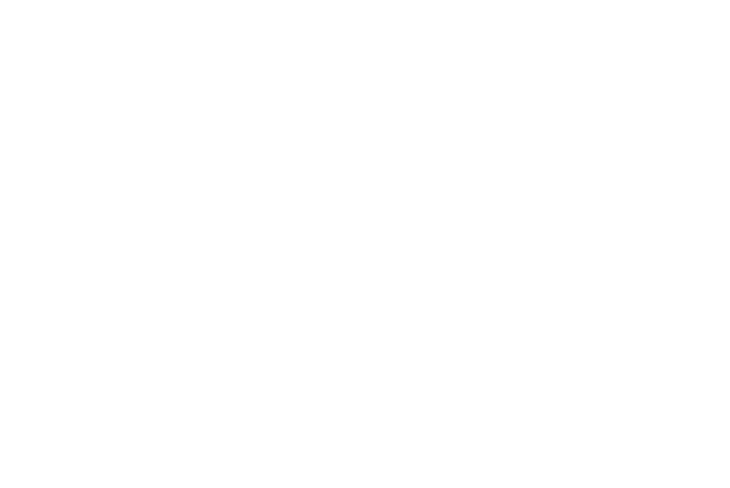 OeNDim